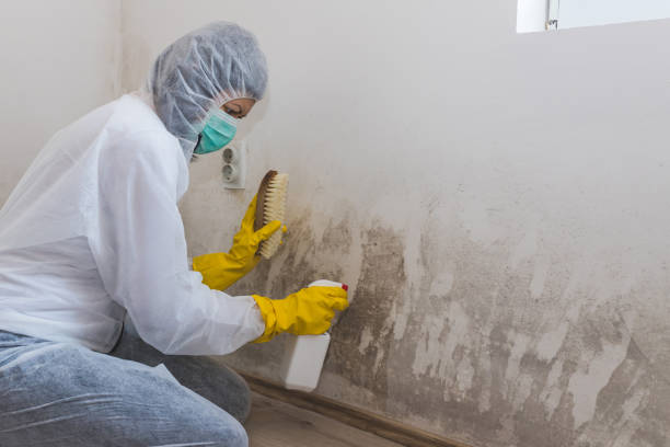 Water Damage Restoration in New Ellenton, SC