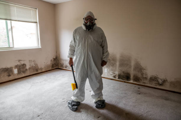 Best Residential Mold Removal  in New Ellenton, SC